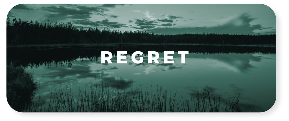GS-Emotions-loss-Regret2